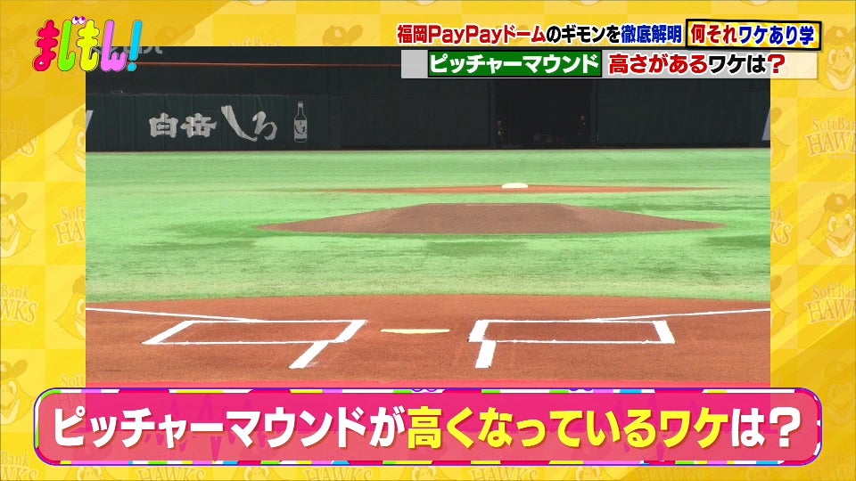 福岡ソフトバンクホークスの選手も知らない!? PayPayドーム＆野球の“なぜ”を解決！/何それ!?ワケあり学 - RKBオンライン