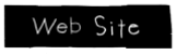 Web Site