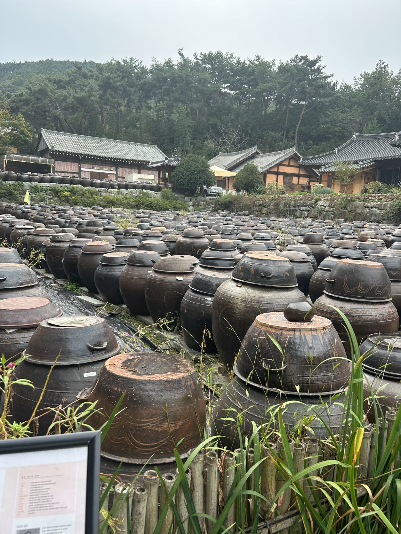 スナッピー前田の韓国・全羅道の旅 ～Part②～ - RKB毎日放送