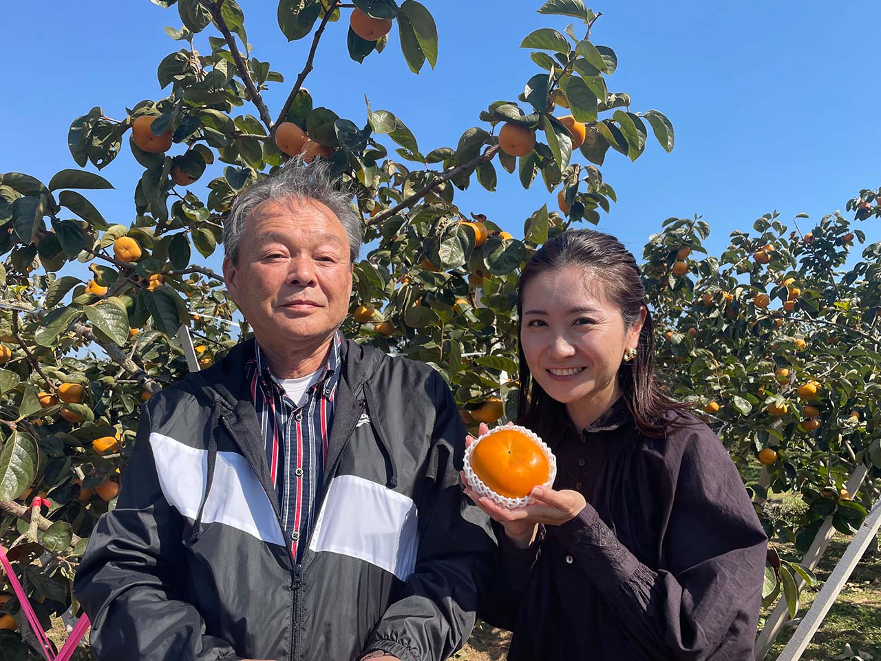 JAにじの柿「秋王」 堀加寿美 - RKB毎日放送