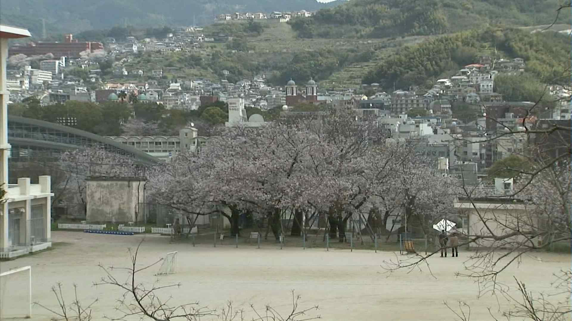 原爆で死亡した嘉代子さんの桜の物語 美術部の生徒が挿絵てがけ1冊の絵本に RKBオンライン
