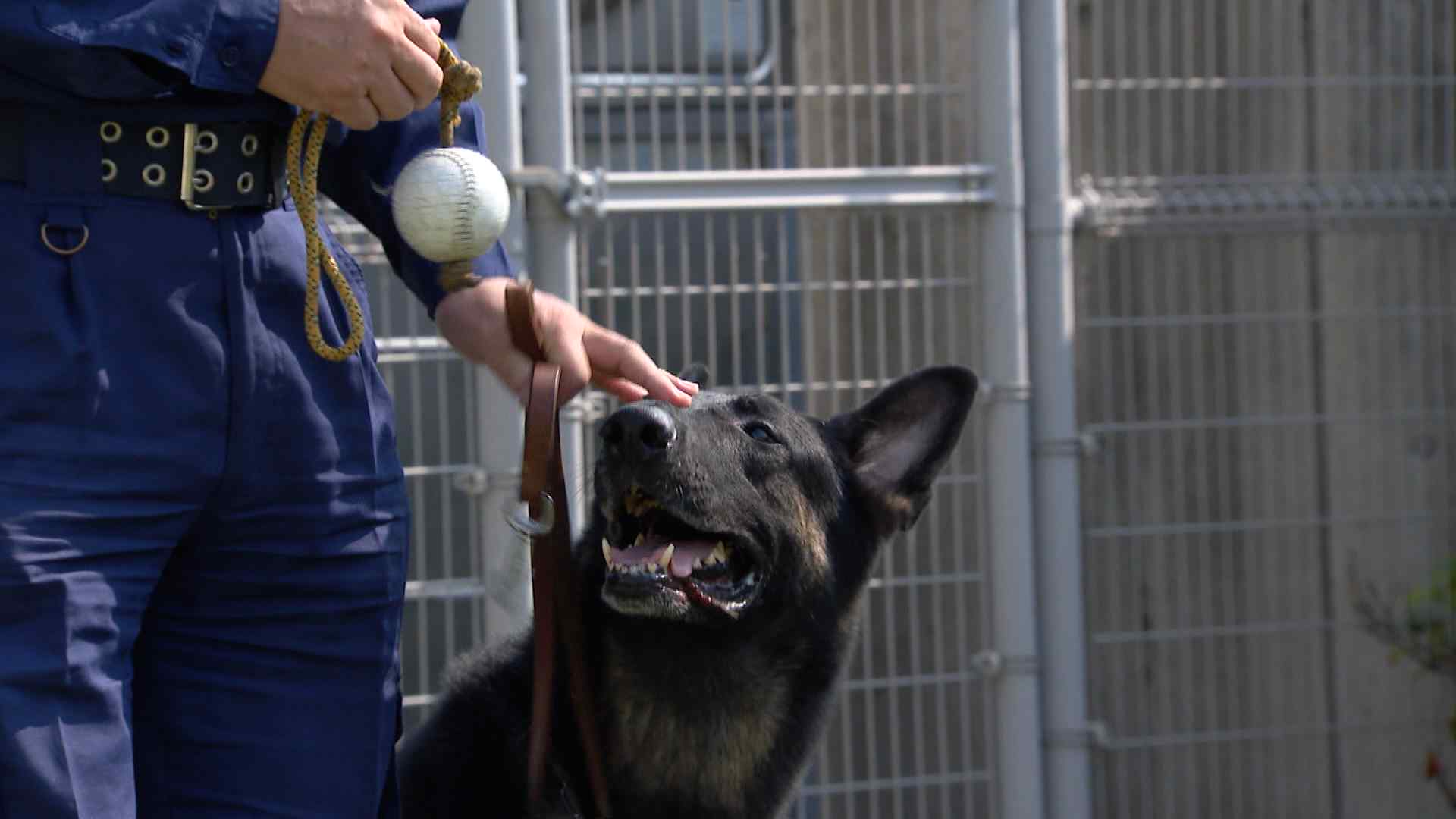 警察 いまさら聞けないよ 福岡県警 刑事 - 参考書