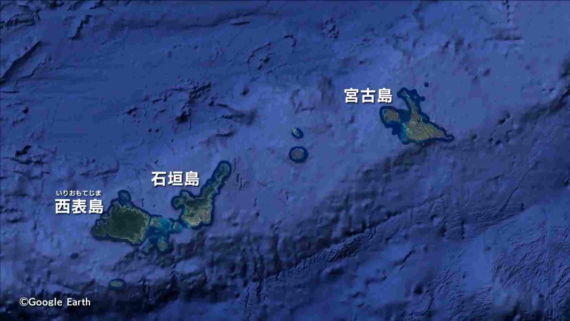 天然記念物でありながら「国内外来種」になってしまったカメ 国の許可を得て特別に２匹を引き取った高校生たち - RKBオンライン