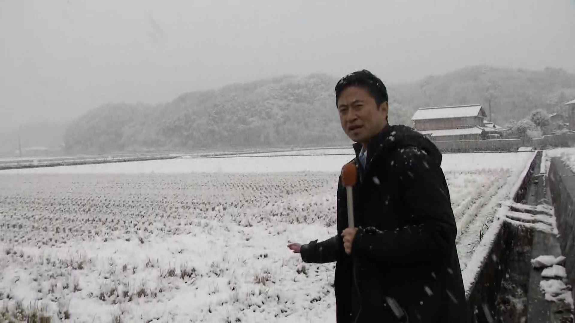 夏タイヤ」で峠に…JAFに密着すると車2台がスリップして立ち往生し