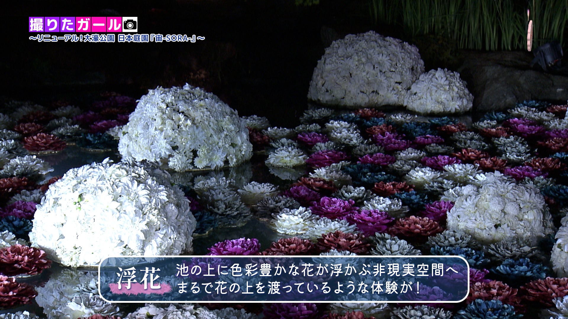 日本庭園×デジタルアート】月と光が織りなす幻想空間！水面に浮かぶ花