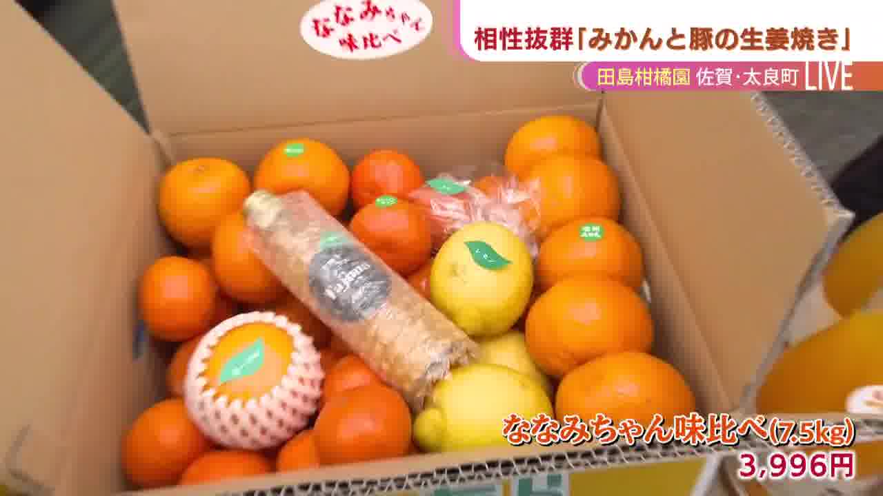 ミカン 驚くほど濃厚な香りと味わい!】太良町育ちのみかん“クレメンティン