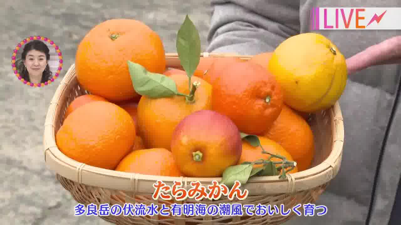 驚くほど濃厚な香りと味わい!】太良町育ちのみかん“クレメンティン