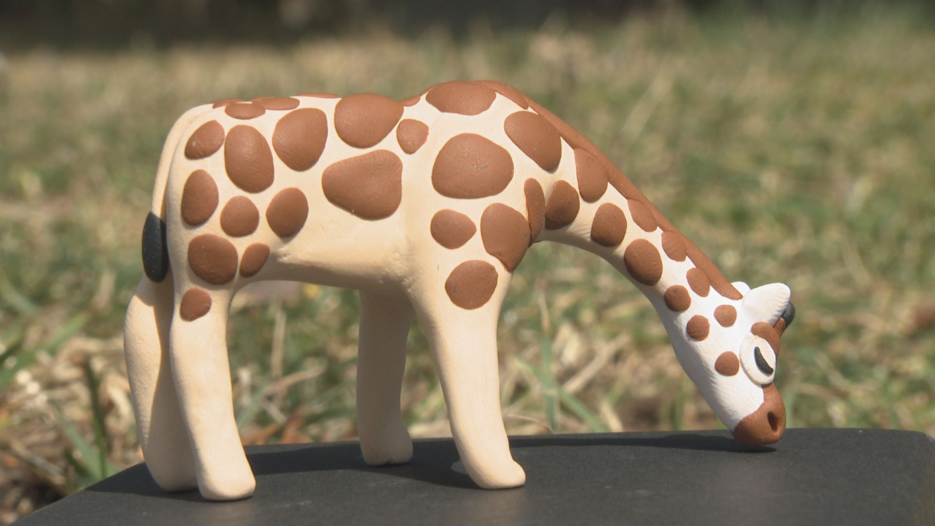 生きる～動物ねんど～ - RKB毎日放送