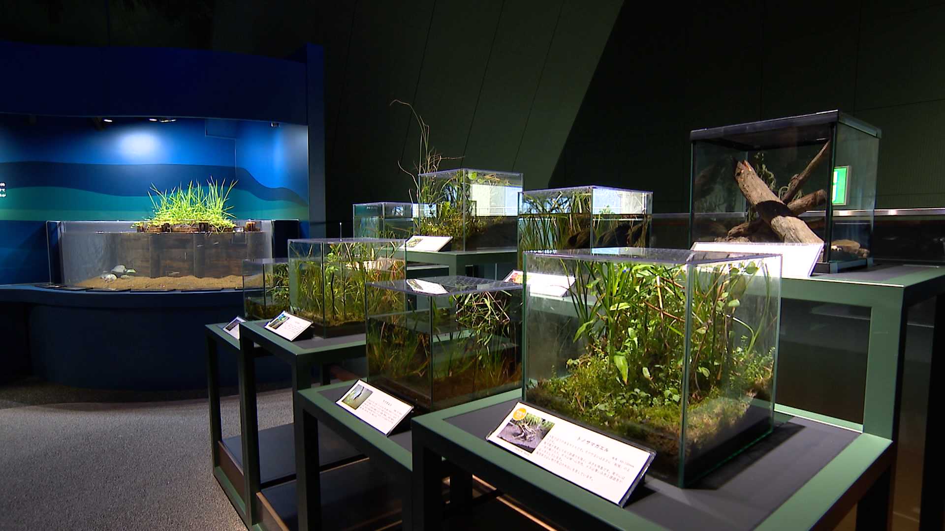159955_ext_11_8.jpg