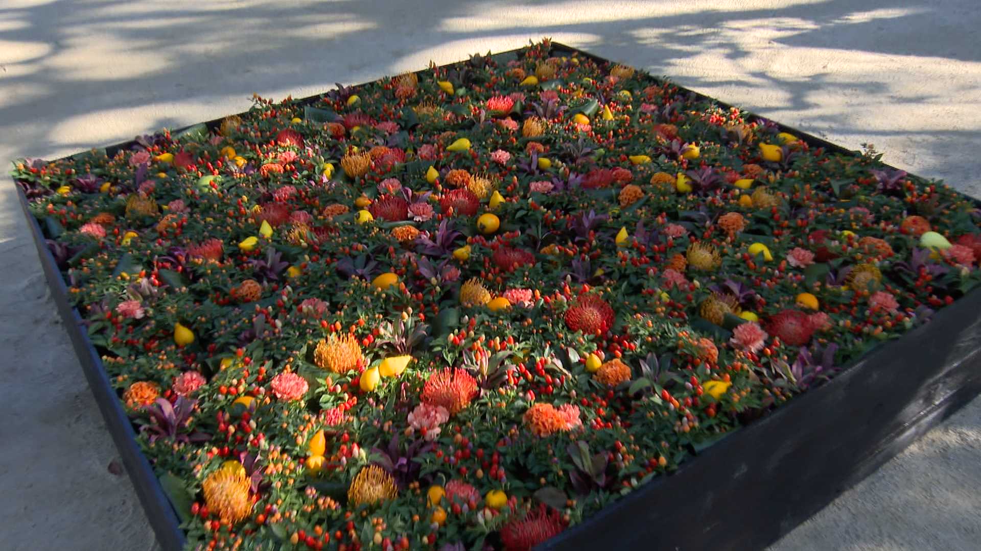 △宰花▽様 Amazon | HobbyMax『文豪ストレイドッグス（BUNGO STRAY DOGS）』迷ヰ