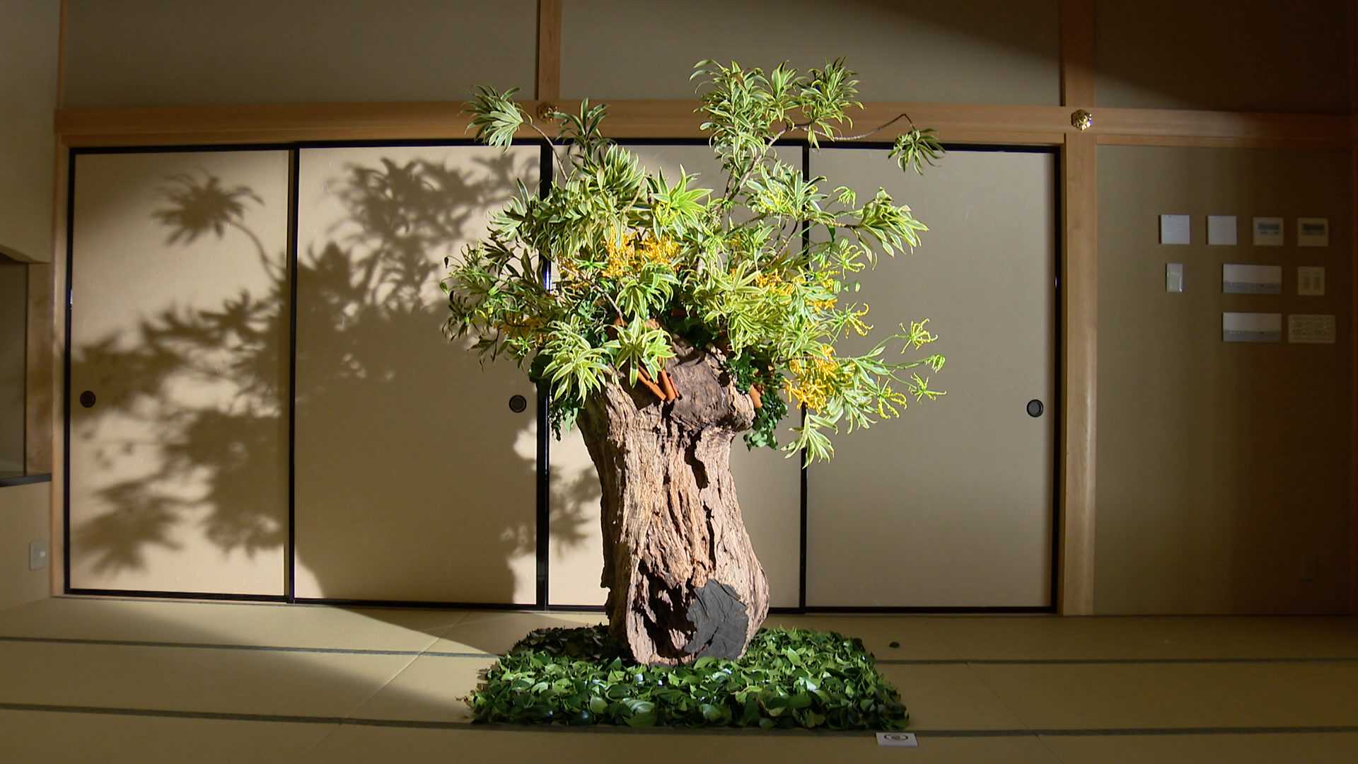 フラワーアート」で装う太宰府天満宮 ニコライ・バーグマンさんの作品