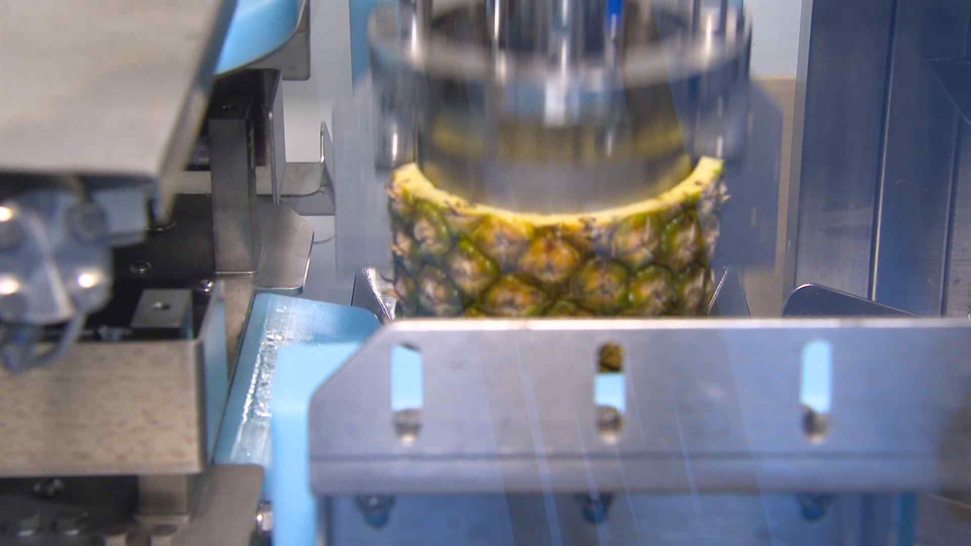 世界初の技術」食品をマイナス50℃で急速冷凍～西日本食品産業創造展