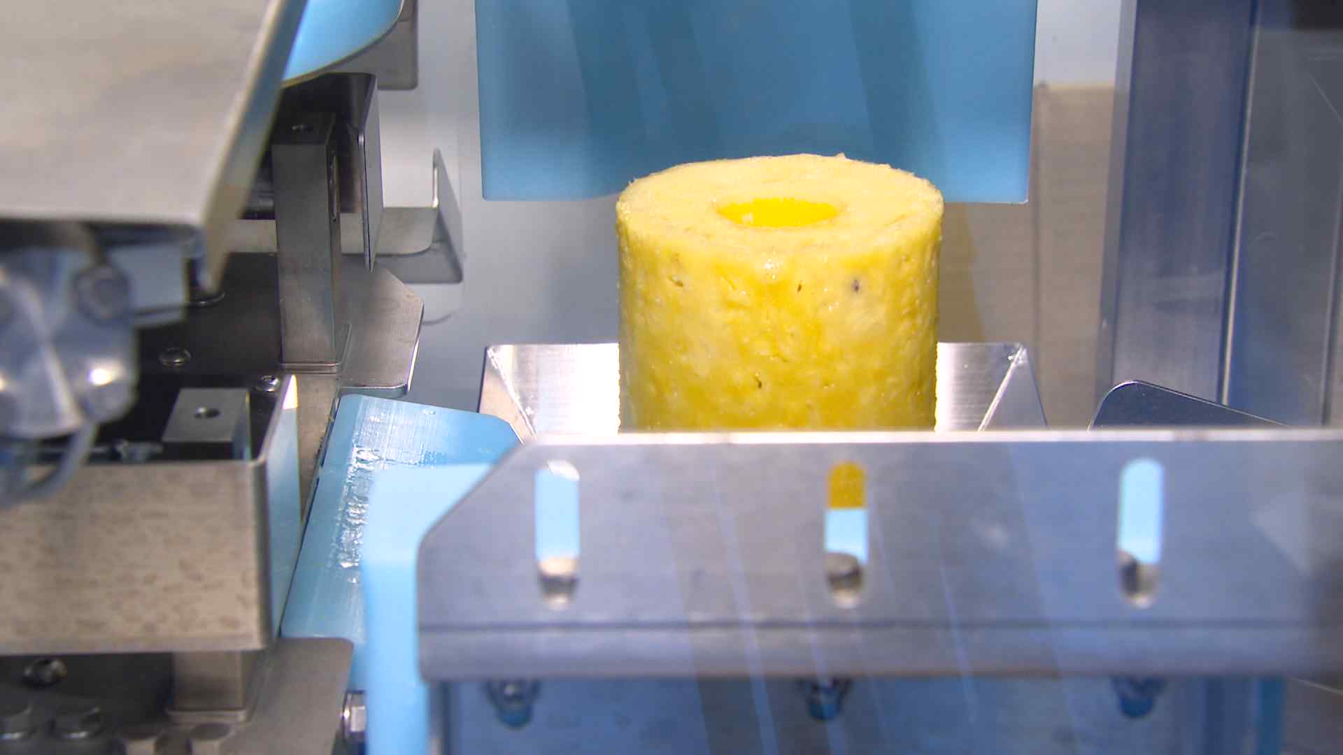 世界初の技術」食品をマイナス50℃で急速冷凍～西日本食品産業創造展
