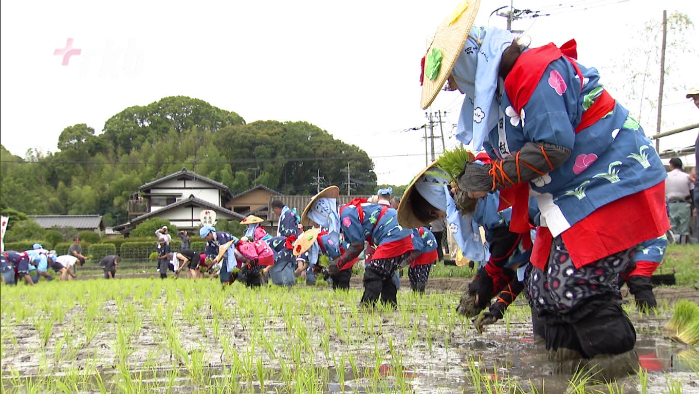 神の田んぼで豊作祈願～太宰府天満宮「御田植祭」 - RKB毎日放送