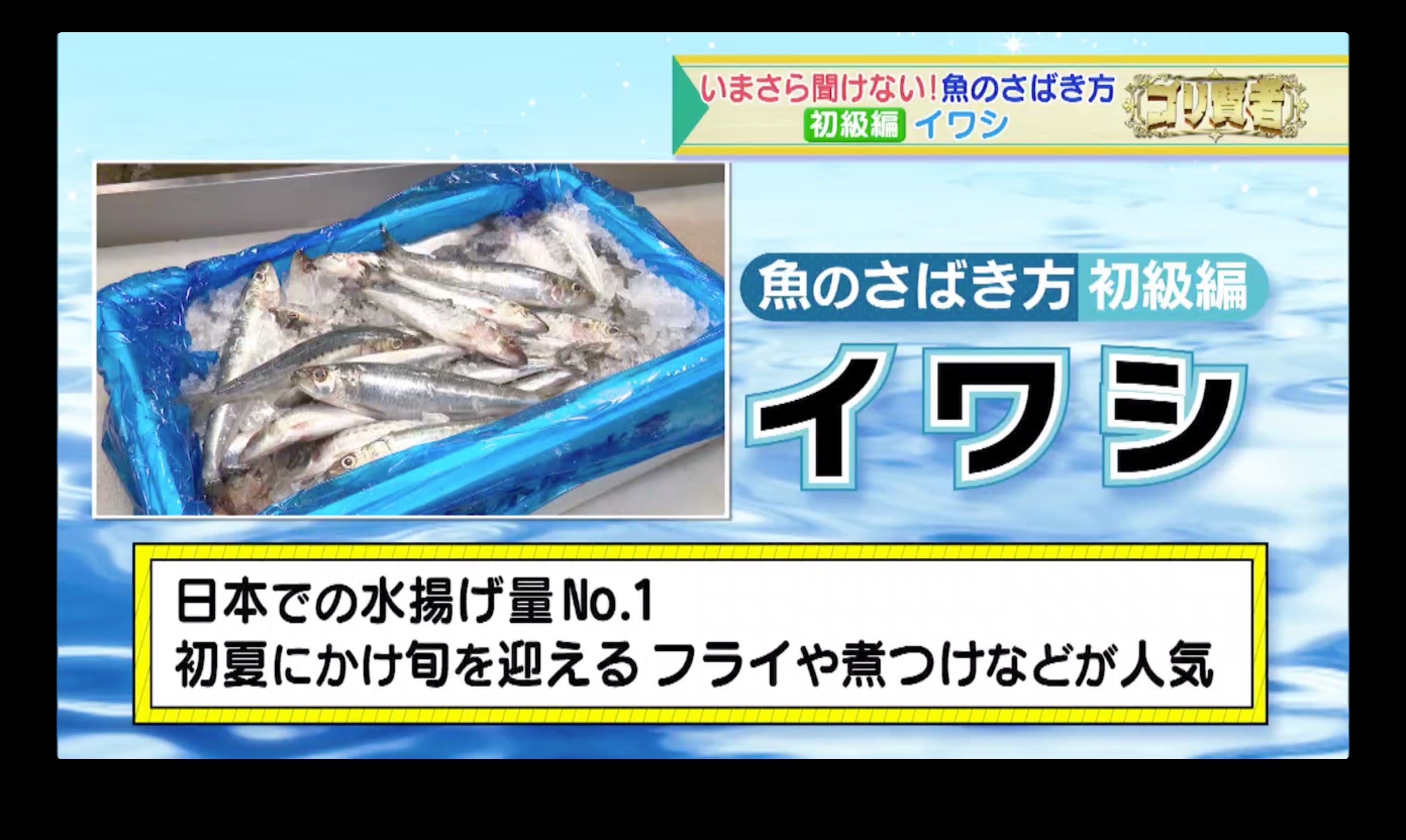 今さら聞けない魚のさばき方】魚のプロが伝授するさばき術 - RKBオンライン