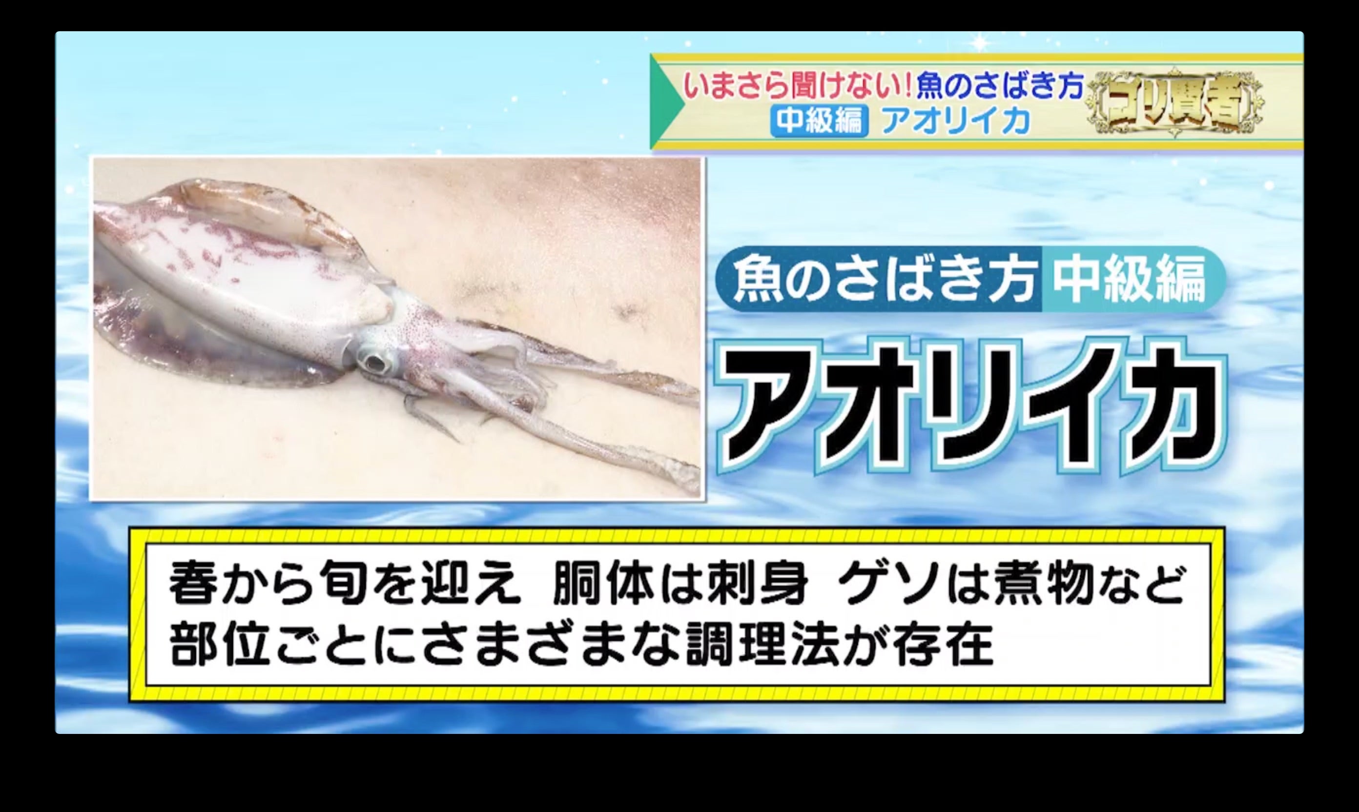 今さら聞けない魚のさばき方】魚のプロが伝授するさばき術 - RKBオンライン