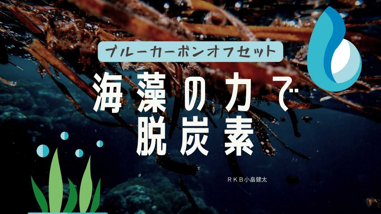 ブルーカーボンオフセット～海藻の力で脱炭素 - RKB毎日放送