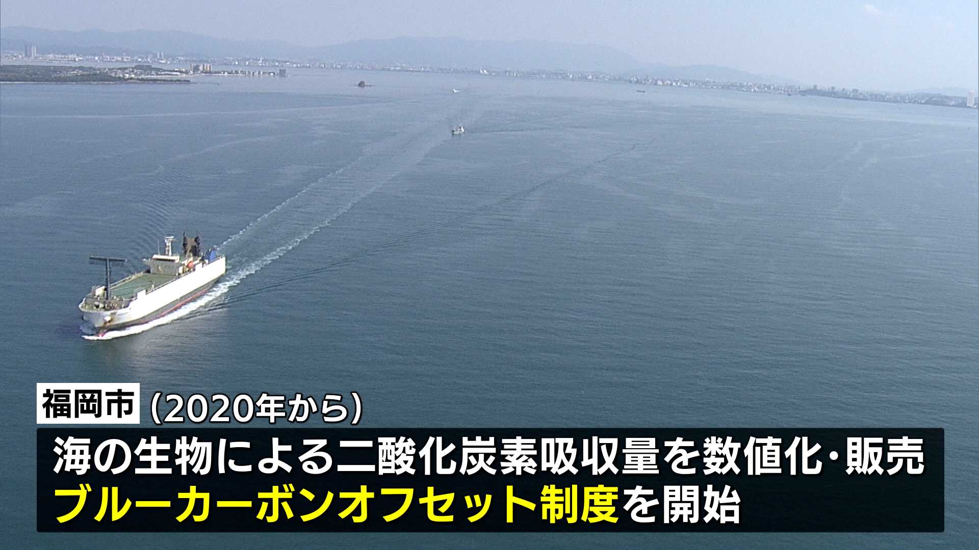 ブルーカーボンオフセット～海藻の力で脱炭素 - RKB毎日放送