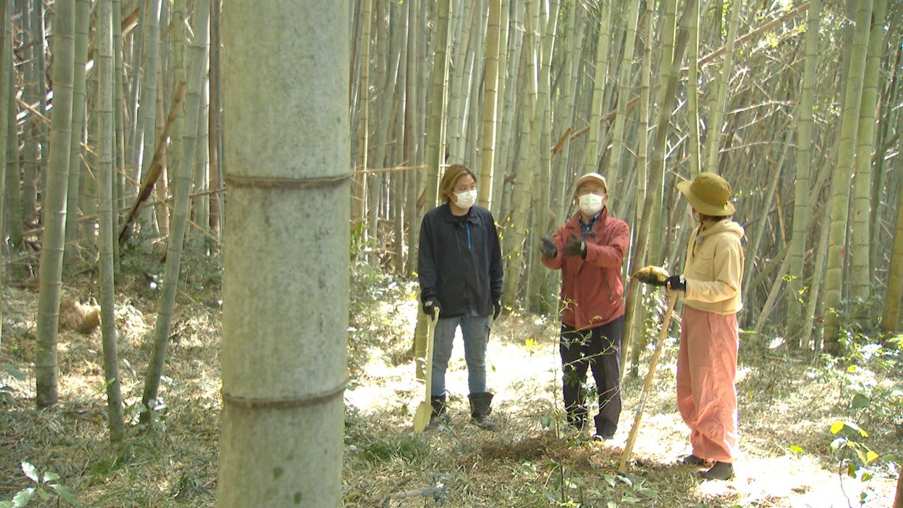 竹林 伐採 20,000円～ 竹林問題解決 - その他