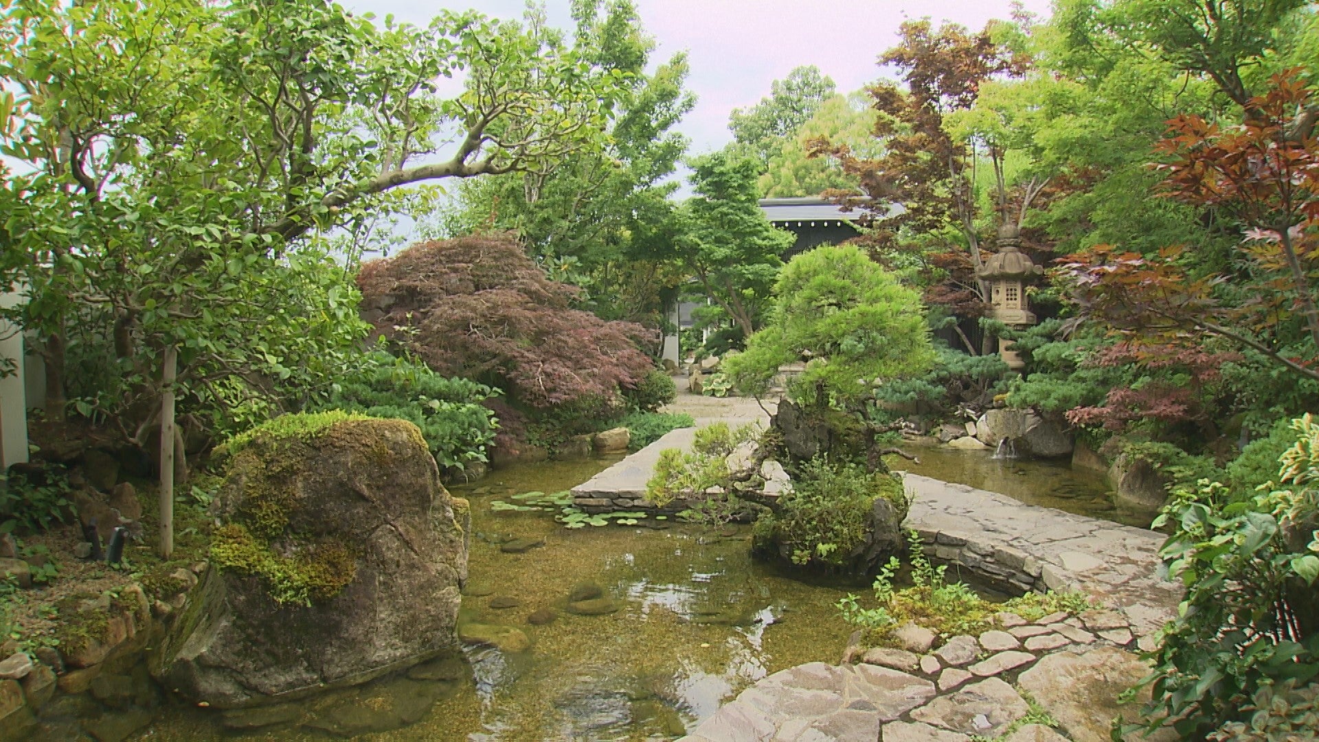 緑の魔法使いが造る“おもてなしの庭” - RKB毎日放送