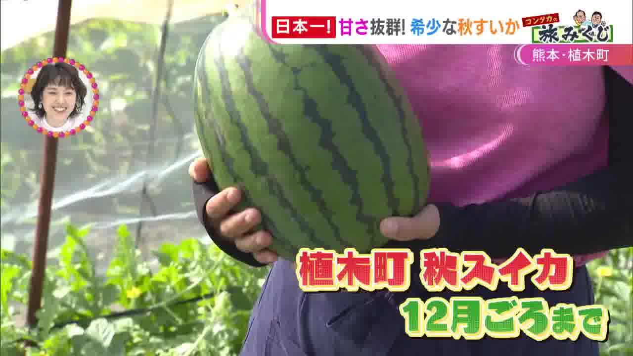 コンタカの旅】熊本植木町で今が旬の幻黒スイカに激うま馬バーグ