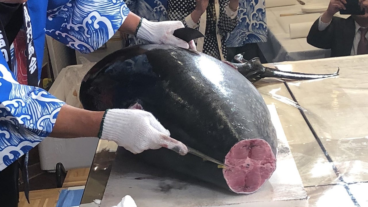 対馬のマグロ解体ショー／RKBカラフルフェス2022 - RKB毎日放送