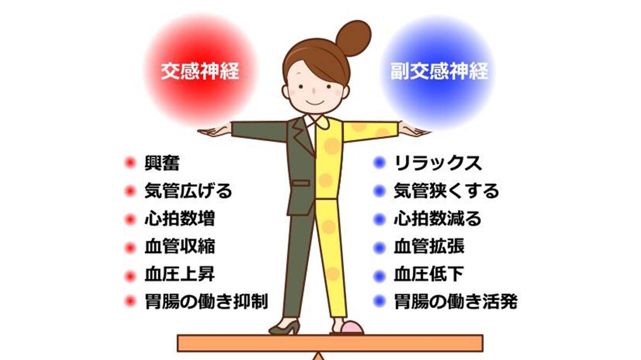 検査しても異常が見つからない不調…自律神経の乱れの体質的な特徴と予防について - RKBオンライン