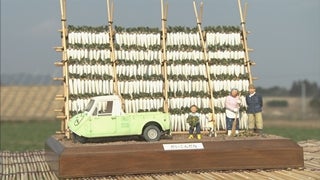 PANDA BOX 脂肪分解 ラジオ波 美品✧*。【中古品】 PANDA BOX 脂肪分解