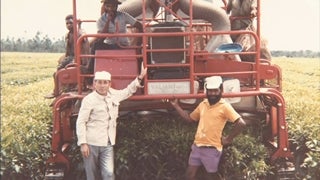 町がお茶の一大産地に！ ～日本初 夢の機械開発物語～ - RKB毎日放送