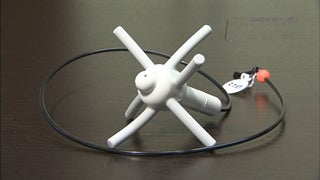 モォ～すぐ生まれるよ！ 牛の出産を予知する魔法の体温計 - RKB毎日放送