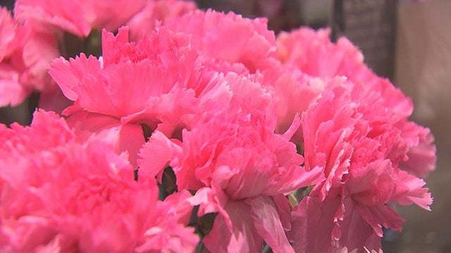 ITで差をつけろ！究極のカーネーション - RKB毎日放送