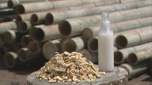 ぐんぐん伸びる！竹の可能性 - RKB毎日放送