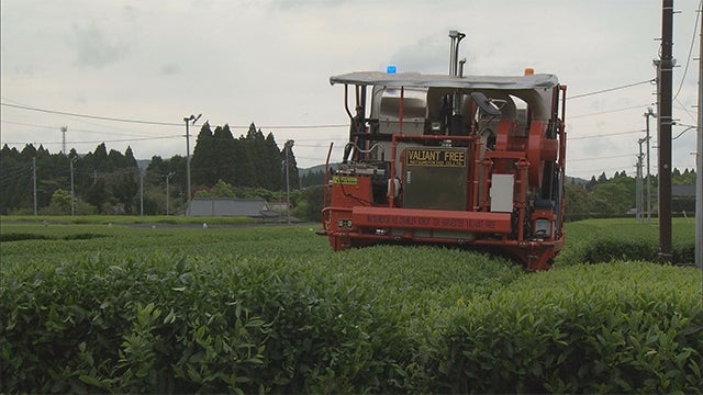 ミリ単位に挑む！茶摘みロボット - RKBオンライン