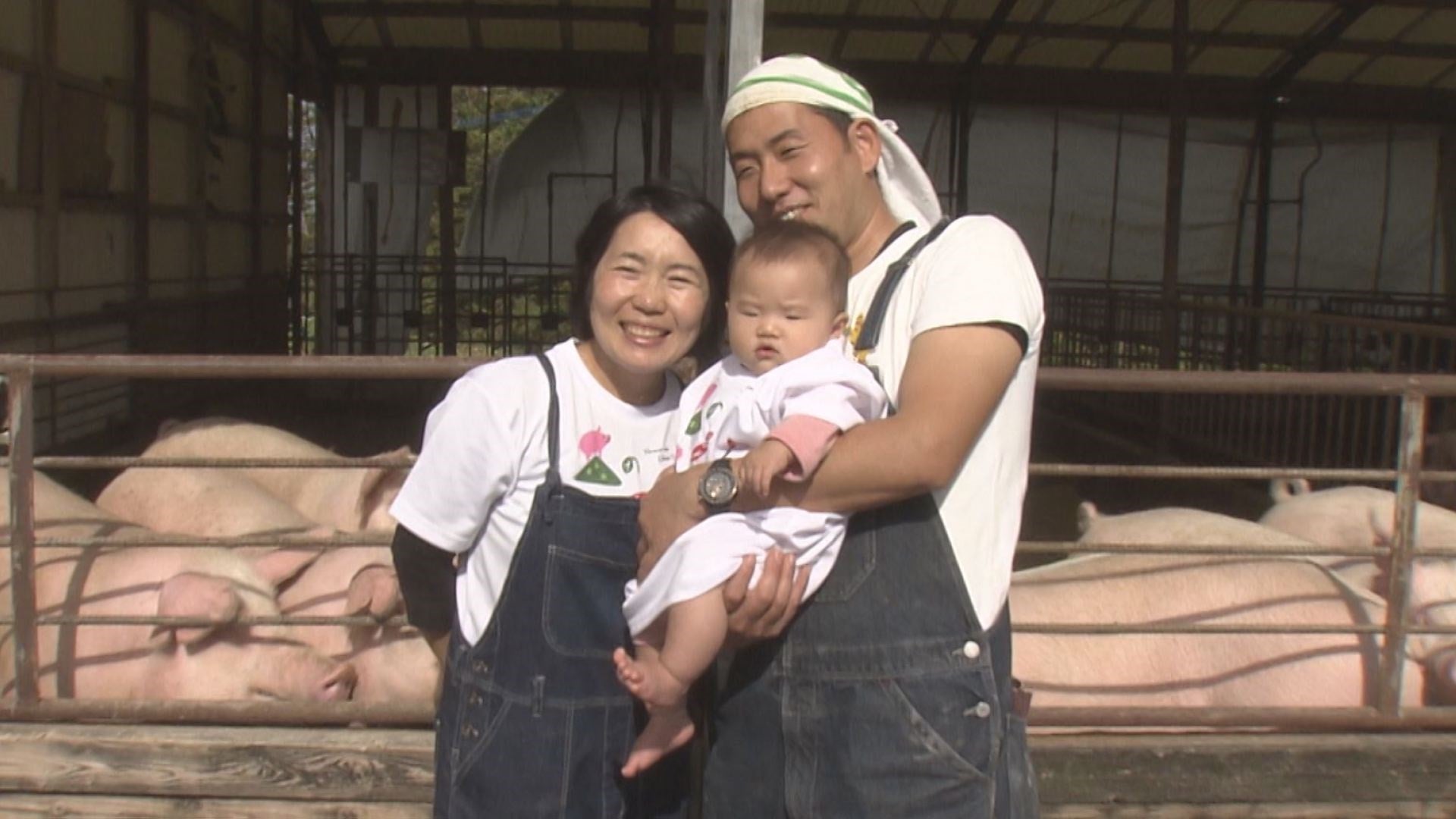 まるご豚（とん）～余す所なくいただきます～ - RKB毎日放送