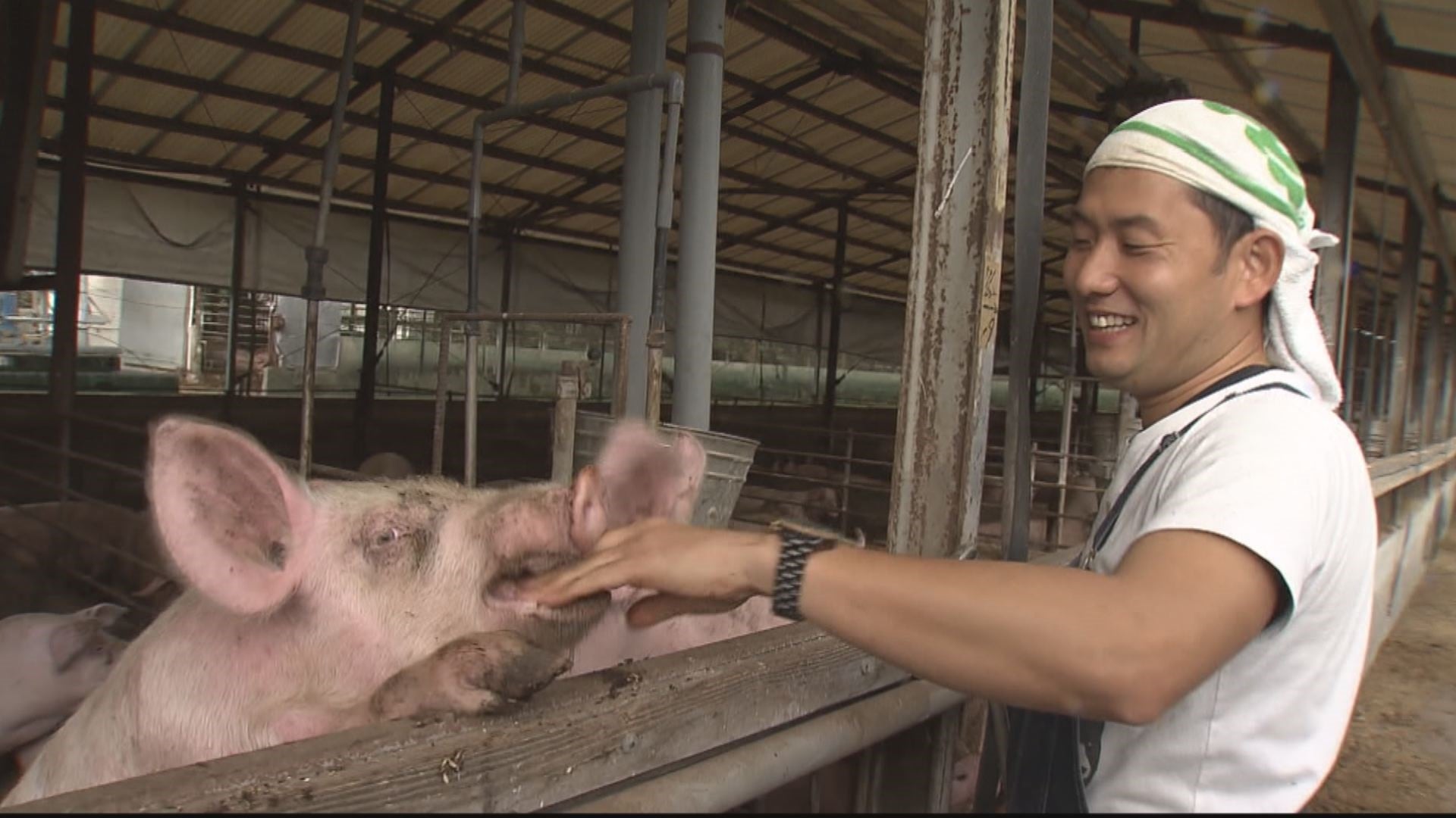 まるご豚（とん）～余す所なくいただきます～ - RKB毎日放送