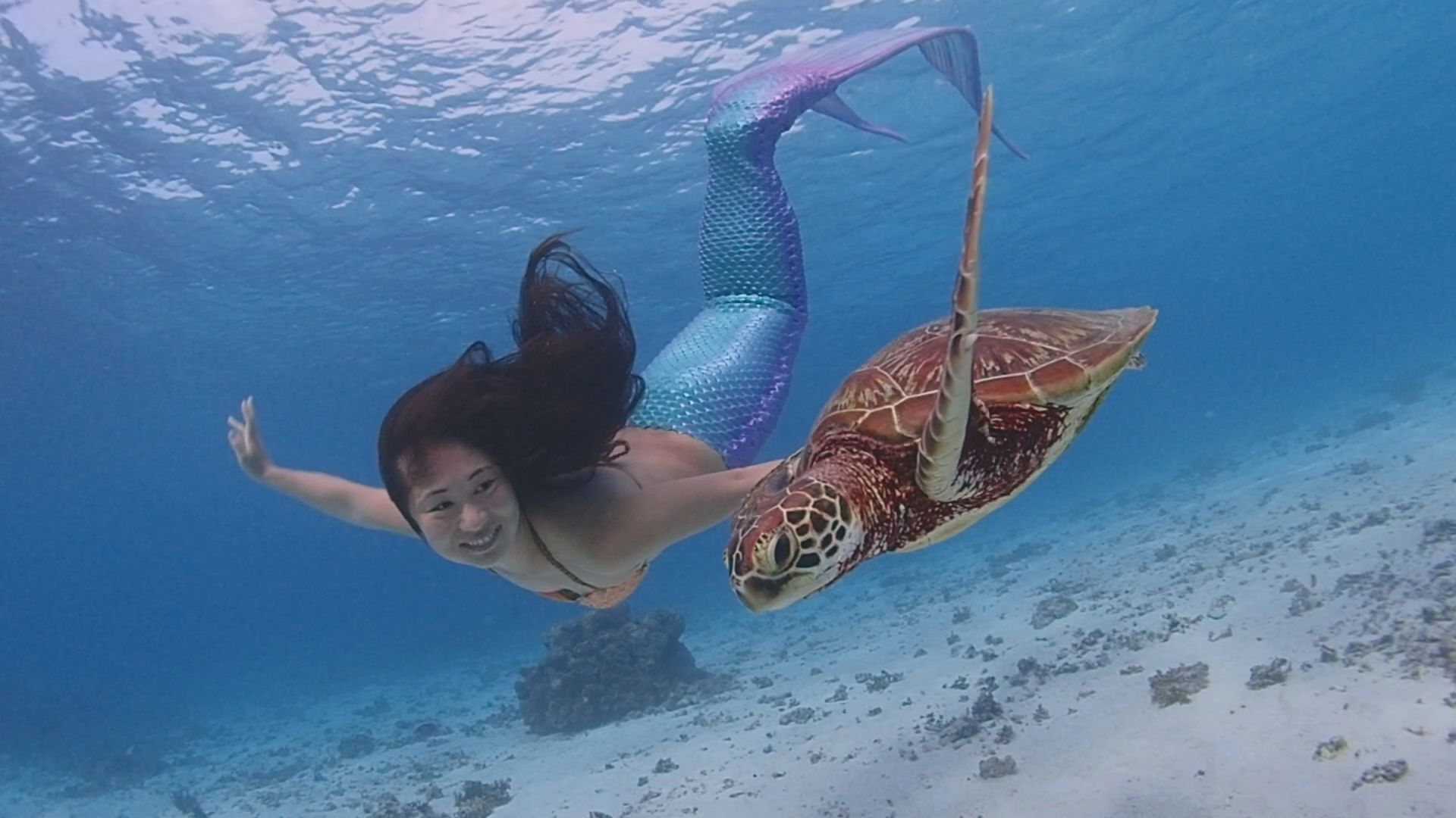 私はマーメイド～海と人を繋ぐ～ - RKB毎日放送