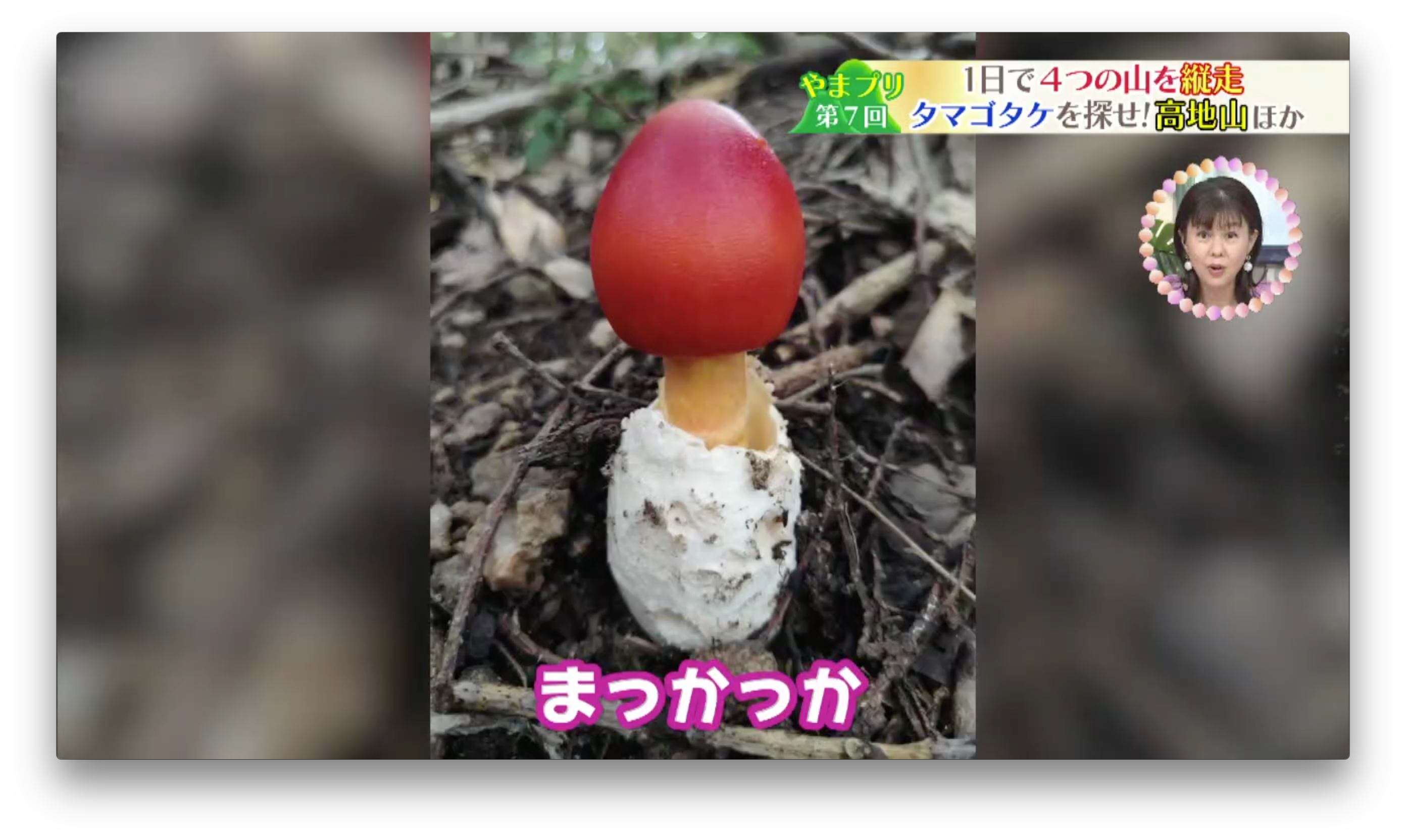 遂に！本物の「きのこの山ワイヤレスイヤホン」が3,500台限定で