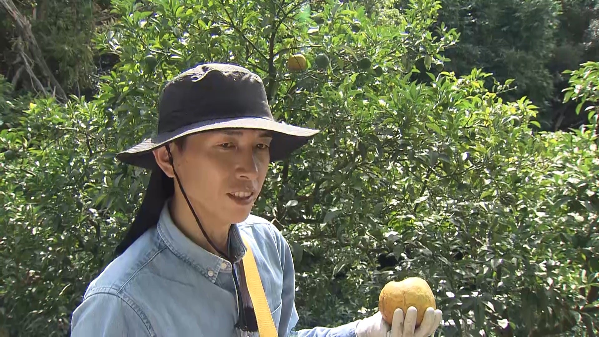 専用　山梨の園芸＋岡山の果樹　セット 山梨県産 フルーツジュースセット(紙袋付き) | あおき農園(山梨)