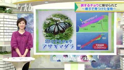 特集】“旅する蝶に魅せられて～親子で見つけた宝物～” - RKB毎日放送