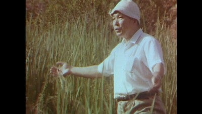 飢餓を生きる人々　ガンジー翁の運動とは何か　杉山龍丸 飢餓を生きる人々 ガンジー翁の運動とは何か 杉山龍丸 本