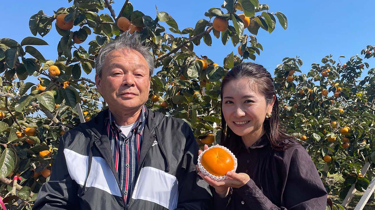 JAにじの柿「秋王」 堀加寿美 - RKB毎日放送