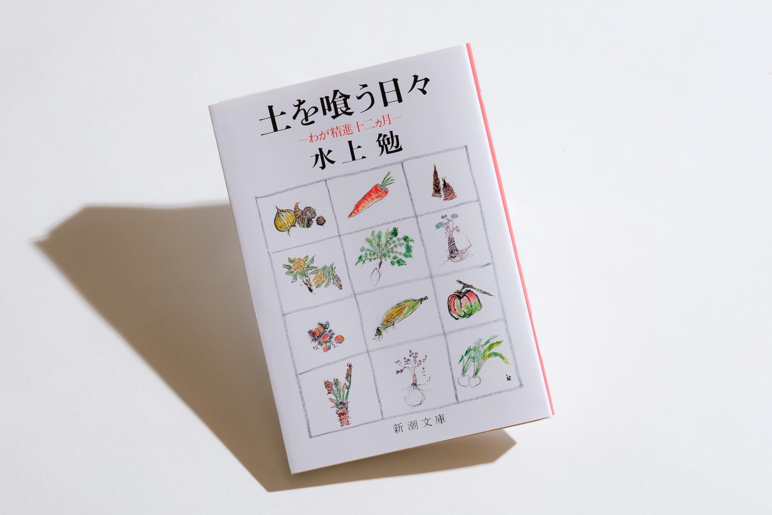 水上勉　限定300部　豆本文庫セット★特別期間限定値段 水上勉 限定300部 豆本文庫セット☆特別期間限定値段