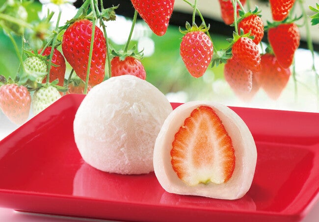福岡の老舗和菓子屋「如水庵」2024年1月6日より『いちご大福』販売開始
