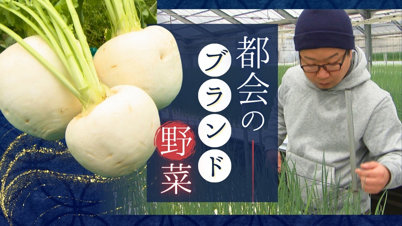 J・ミロ、ロバのいる野菜畑、希少画集より、新品額・額装付