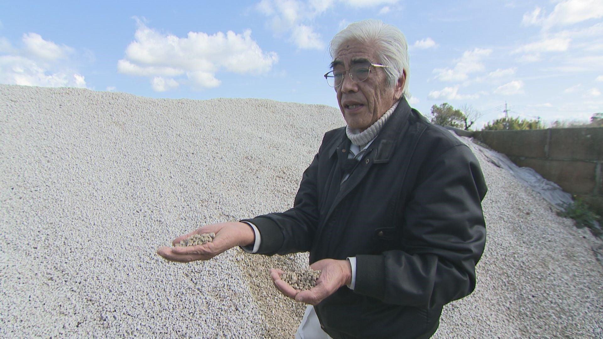 厄介者シラスが街を緑に変える - RKB毎日放送