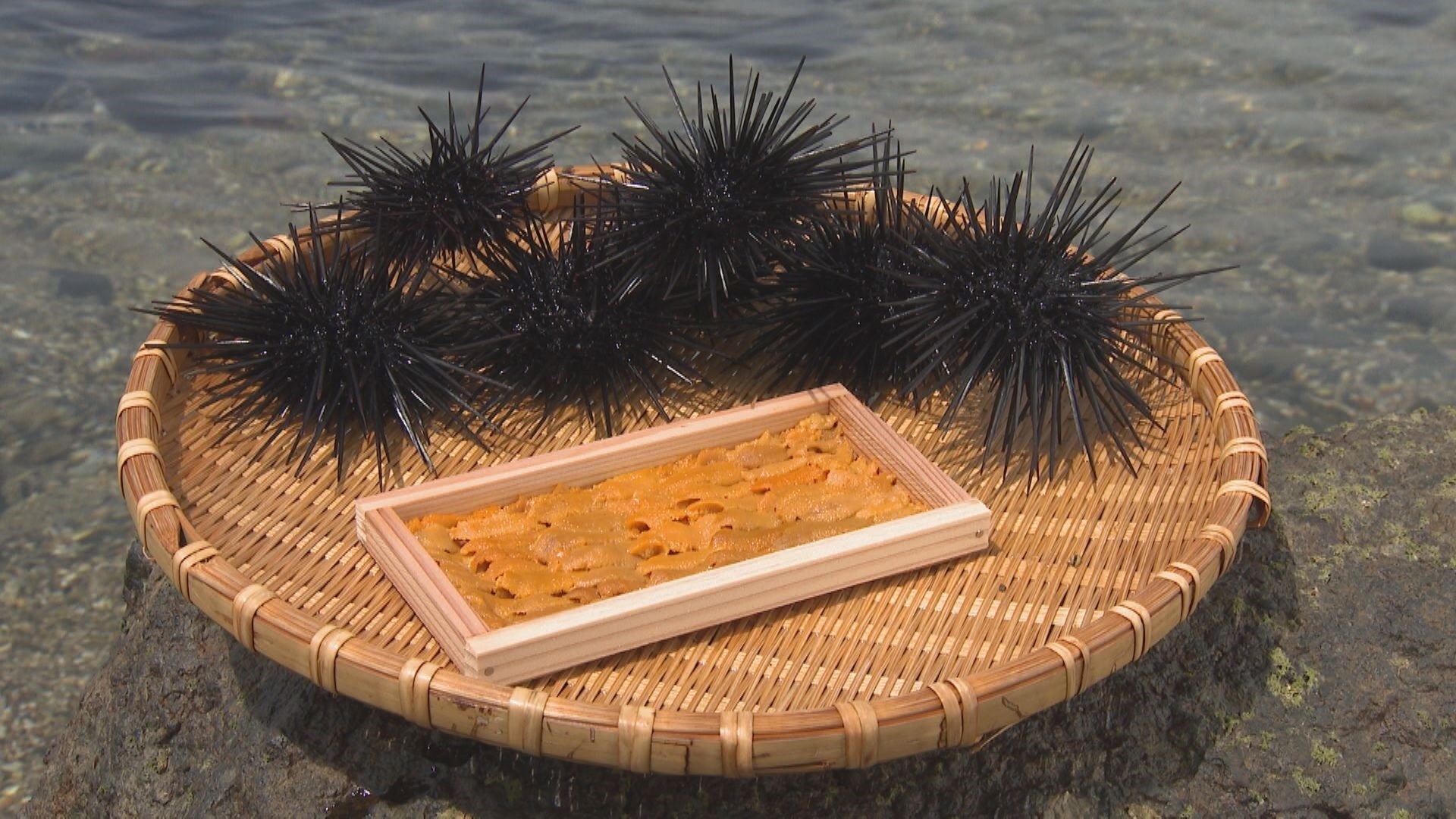 食べるだけじゃない！新しいウニ活用術 - RKB毎日放送