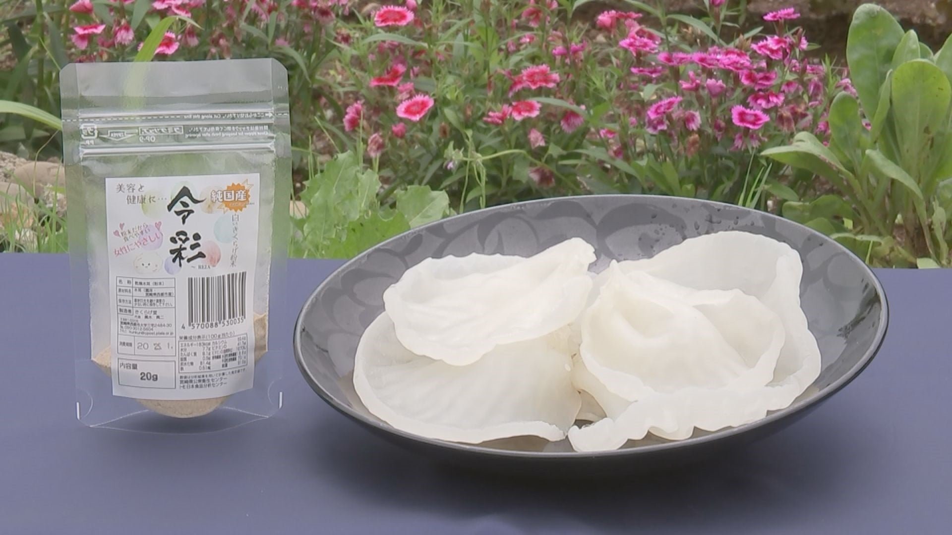 最高級白キクラゲ 20230807-OYTNI50018-1.jpg?type=ogp