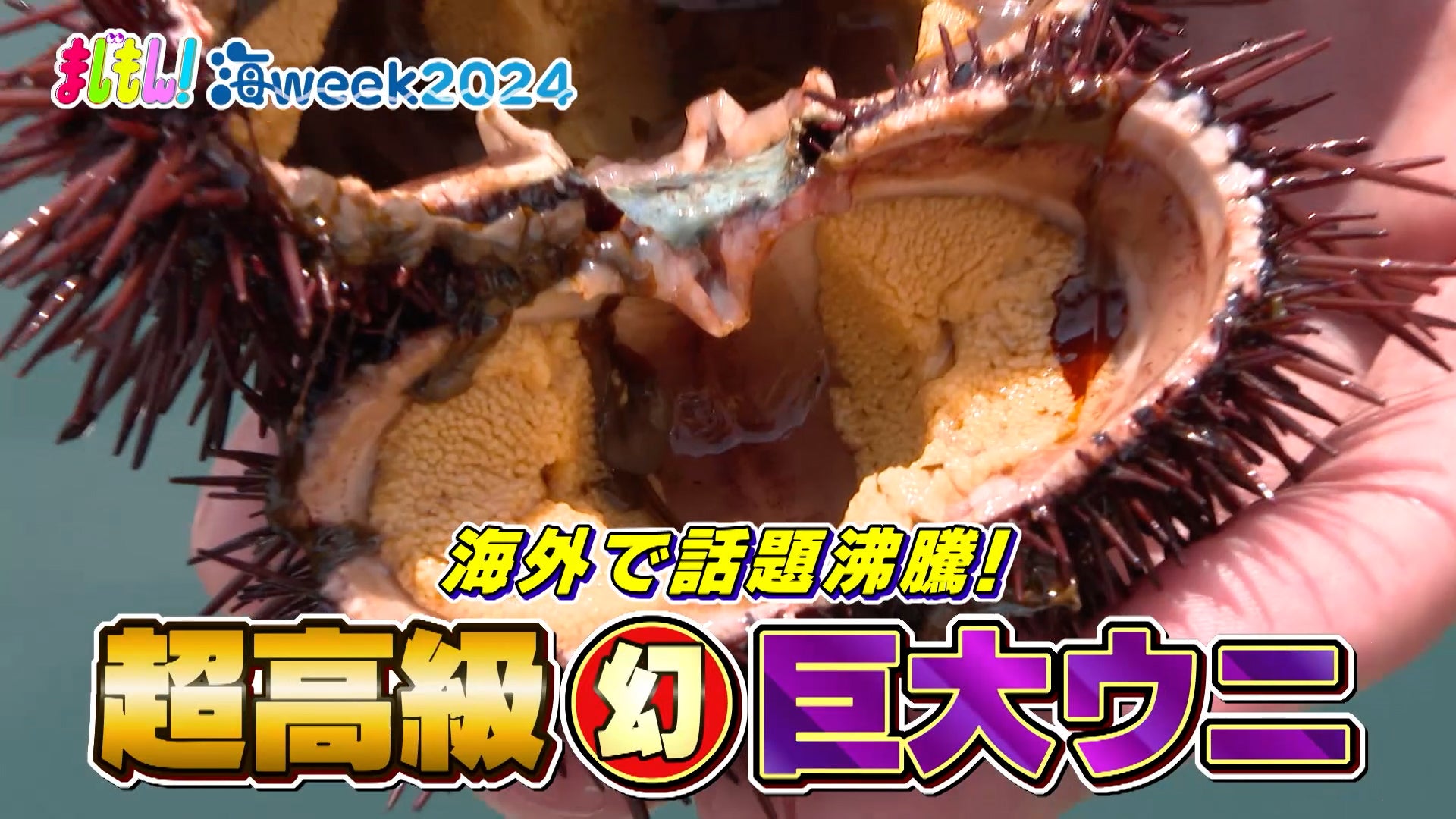 海WEEK2024 夏休み直前！ 福岡の海を調査せよ - RKB毎日放送