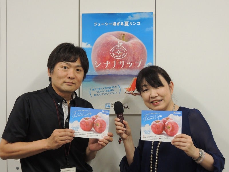 ②シナノリップ食べ比べ 標高650m 箱込み 約9.5〜10.0キロ 信州高山