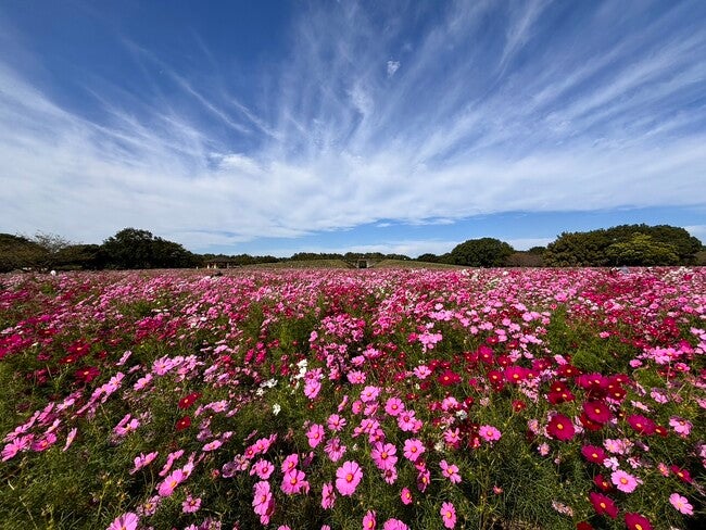 192094_ext_3_0.jpg?width=800